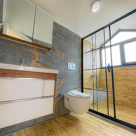 Nokta Park K 4+1 Villa, Oezel Havuzlu * 페티예